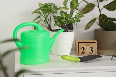 Bahçecilik aletleri ışık duvarının yanında klozette bitkiler