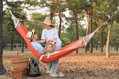 Beagle köpeği ve kız arkadaşıyla dışarıda hamakta dinlenen genç bir adam.