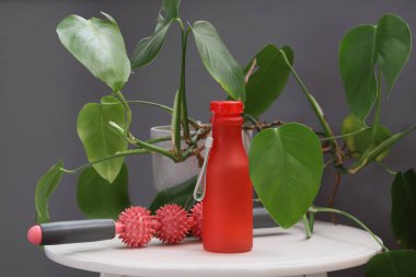 Masaj silindirli spor su şişesi ve masadaki bitki, yakın plan.