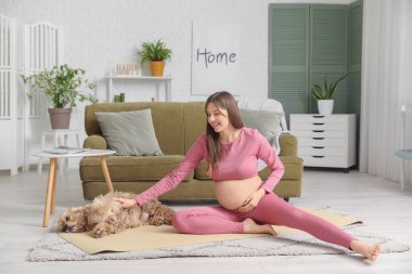 Güzel, sportif, genç, mutlu, hamile bir kadın cocker spaniel ile evde yoga yapıyor.