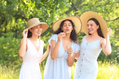 Piknikte sabun köpüğü üfleyen bayan arkadaşlar