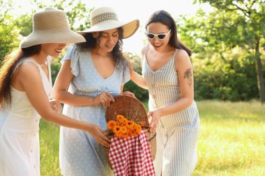 Park 'ta piknik sepeti olan bayan arkadaşlar