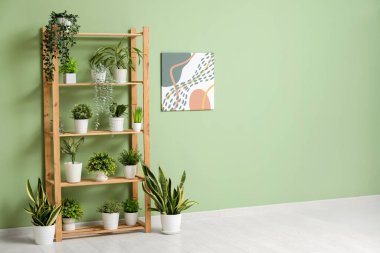 Ev bitkileriyle modern raf ünitesi ve yeşil duvarın yanındaki oda.