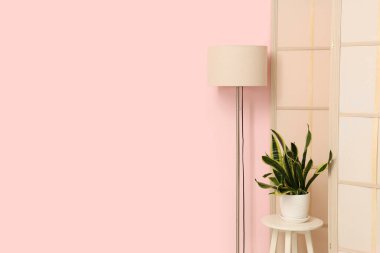 Zemin lambası, katlanan ekran ve odada pembe duvarın yanındaki çiçek.