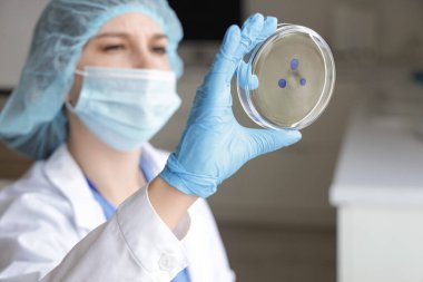 Laboratuvarda Petri kabı olan kadın bilim adamı, yakın plan.