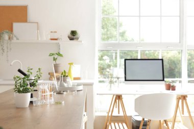 İş yeri ve bitkilerle dolu bir laboratuvar.