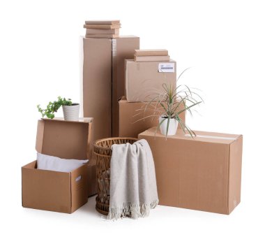 Beyaz zemin üzerinde bitkiler olan karton kutular