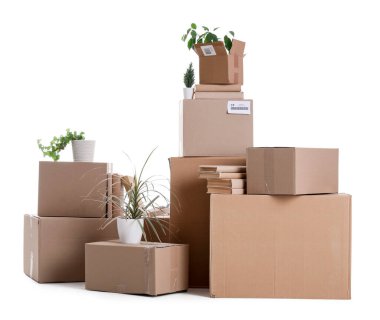 Beyaz zemin üzerinde bitkiler olan karton kutular