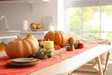 Mutfaktaki yemek masasında sonbahar dekoru olan balkabakları, yakın plan.