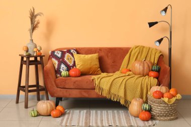 Oturma odasının içi turuncu kanepe ve farklı balkabaklarıyla dolu hasır sepet.