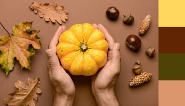 Taze kabaklı erkek eller ve kahverengi arka planda sonbahar yaprakları. Farklı renk örnekleri