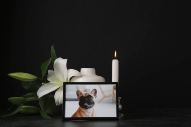 Frame with picture of dog, lily flowers and burning candle on dark background. Pet funeral clipart