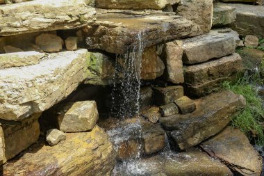 Ormandaki küçük şelale manzarası