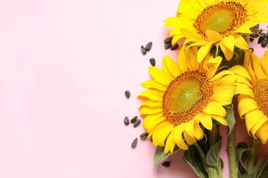 Pembe arka planda güzel ayçiçekleri ve tohumlar