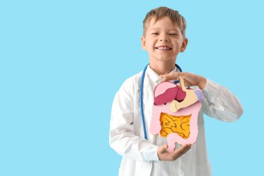 Mavi arka planda kağıt sindirim sistemi olan küçük bir doktor.