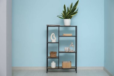 Salonda mavi duvarın yanında ev bitkisi olan raf ünitesi