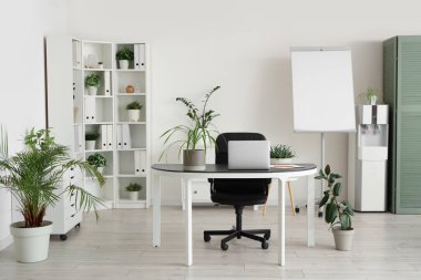 Yeşil santralleri, raf ünitesi ve işyeri olan ışık ofisinin içi