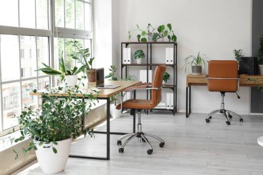 Masaları, raf ünitesi ve yeşil bitkileri olan ofis içi