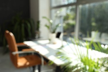 Ofisinde yeşil bitkiler olan işyerinin bulanık görüntüsü