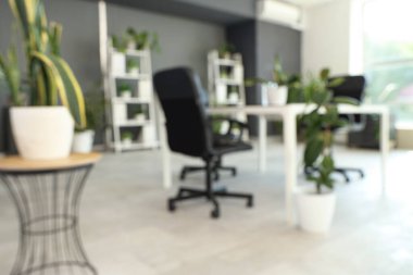 Masası, raf ünitesi ve yeşil bitkileri olan modern ofisin bulanık görüntüsü