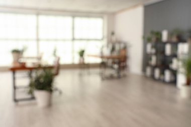 Ofis içi masalar, raf üniteleri ve yeşil bitkilerle