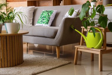 Oturma odasının iç tarafında bitki ve sulama kutusu olan tabure.