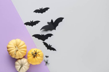 Renkli arka planda Cadılar Bayramı partisi için örümcekli kağıt yarasalar ve taze balkabakları.