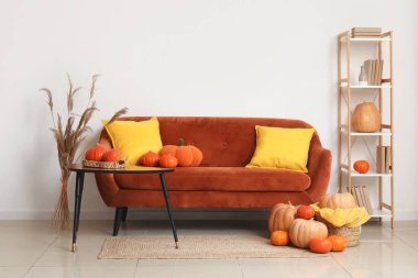 Koltuk, kahve masası ve oturma odasında balkabağıyla süslenmiş raf ünitesi.