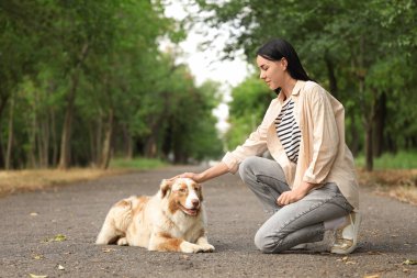 Tatlı Avustralya çoban köpeğini dışarıda eğiten genç bir kadın.