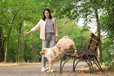 Güzel genç bayan parkta sevimli Avustralya çoban köpeğini eğitiyor.