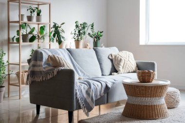 Oturma odasının içinde kanepe, masa ve bitkiler var.