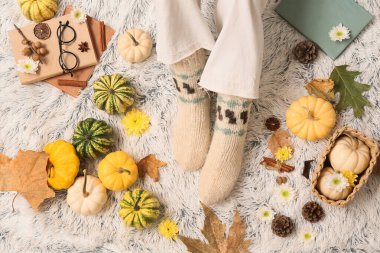 Sonbahar yaprakları, balkabakları ve arka plan olarak beyaz ekoseli kitaplar olan kadın çorapları.