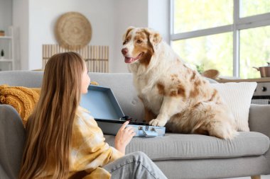 Avustralya çoban köpeği ve pikabıyla evdeki kanepede oturan genç bir kadın.