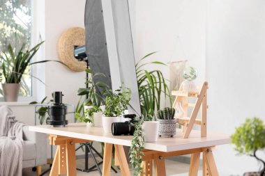 Plants with camera on table in photo studio clipart