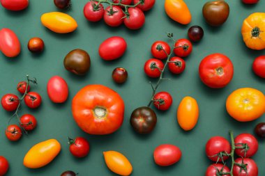 Yeşil arka planda farklı taze domatesler.