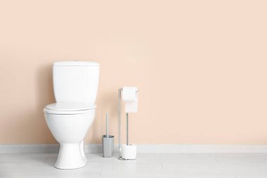 Kağıt ruloları, seramik klozet ve renkli duvarın yanında fırça tutan.