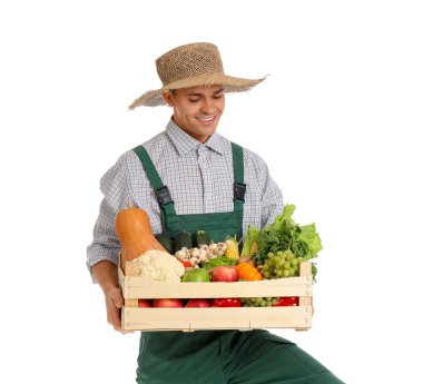 Beyaz arka planda bir kutu sebzeli erkek çiftçi.