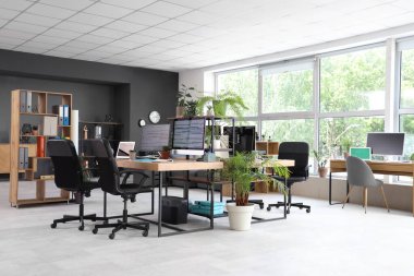 Masaları ve bitkileri olan programcı ofisinin içi