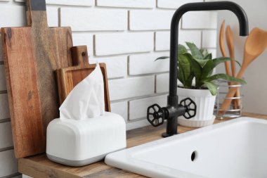 Kağıt mendilli tutucu, mutfak gereçleri ve lavabonun yanındaki ev bitkisi tuğla duvara yakın, yakın plan.