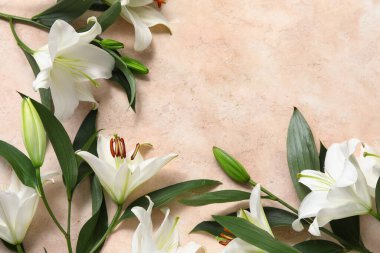 Renk arkaplanında beyaz zambak çiçekleri olan kompozisyon