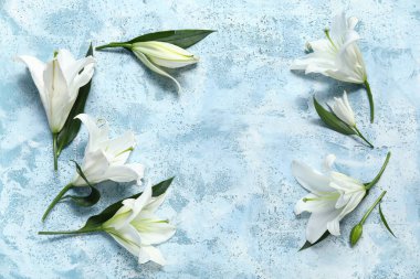 Renk arkaplanında beyaz zambak çiçekleri olan kompozisyon