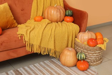 Oturma odasındaki turuncu kanepenin yanında farklı balkabağı ve battaniyeyle hasır sepet.