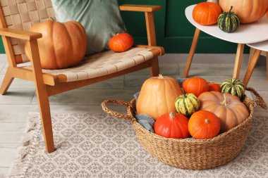 Oturma odasındaki yeşil duvarın yanında farklı balkabakları olan Koltuk ve Hasır Sepet.