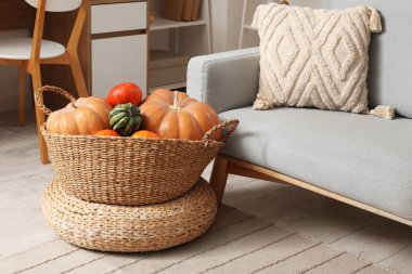 Oturma odasındaki gri kanepenin yanında farklı balkabakları olan hasır sepet.