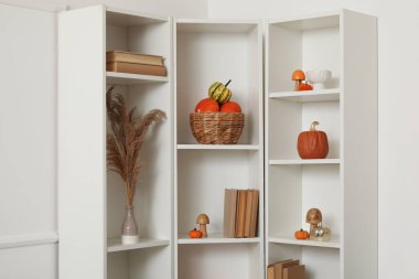 Raflarda farklı balkabakları ve kitaplarla dolu bir sepet.