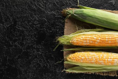 Siyah arkaplanda taze mısır koçanları
