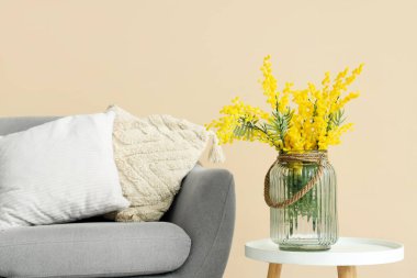 Komodinin üzerinde güzel mimoza çiçekleri ve bej duvarın yanında gri bir koltuk olan vazo.