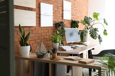 Modern işyeri, raf ünitesi ve ev bitkileriyle şık bir ofis.