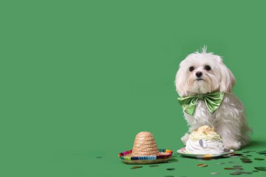 Papyonlu şirin Bolonez köpeği yeşil arka planda pastayla doğum gününü kutluyor.