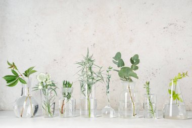 Grunge bej arka planda bitki ve otlarla dolu laboratuvar camları.